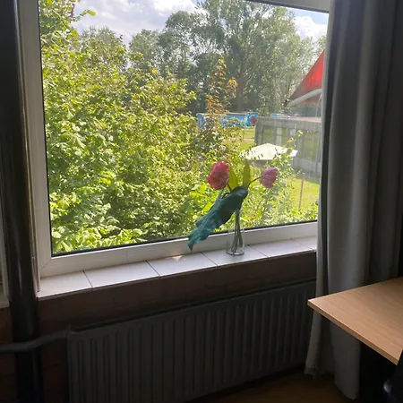 Het Bewustzijn