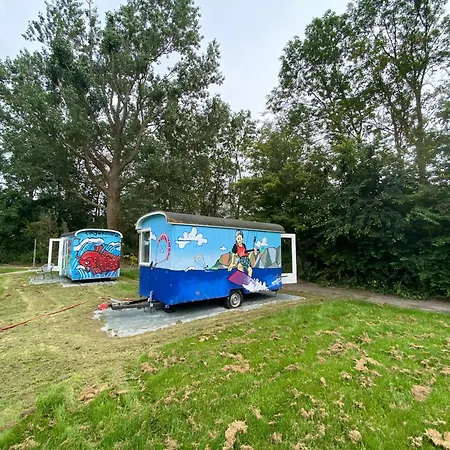Bed & Breakfast Het Bewustzijn