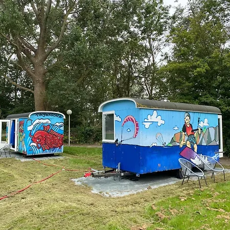 Het Bewustzijn *