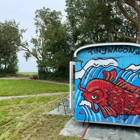 Het Bewustzijn * Limmen