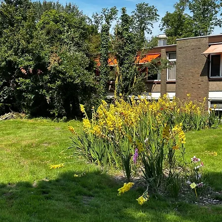 Het Bewustzijn Bed & Breakfast Limmen