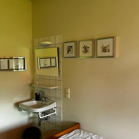 Het Bewustzijn * Limmen