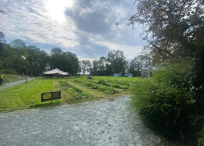 Het Bewustzijn * Limmen