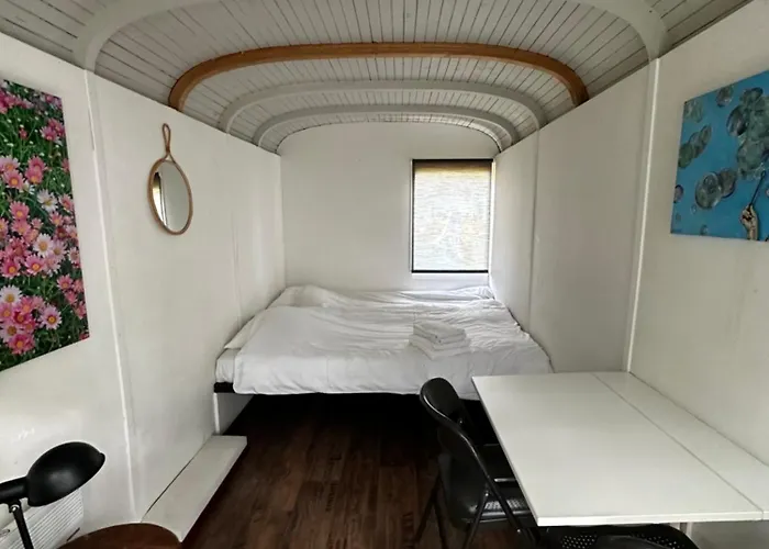 Het Bewustzijn * Limmen