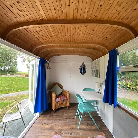 Het Bewustzijn * Limmen