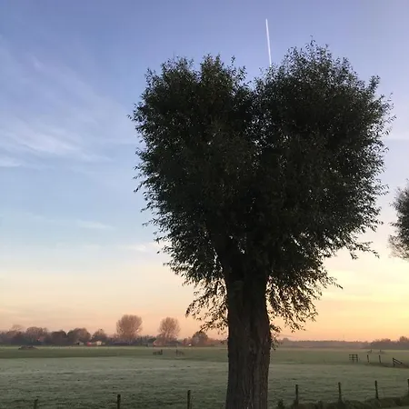 Bed & Breakfast Het Bewustzijn *