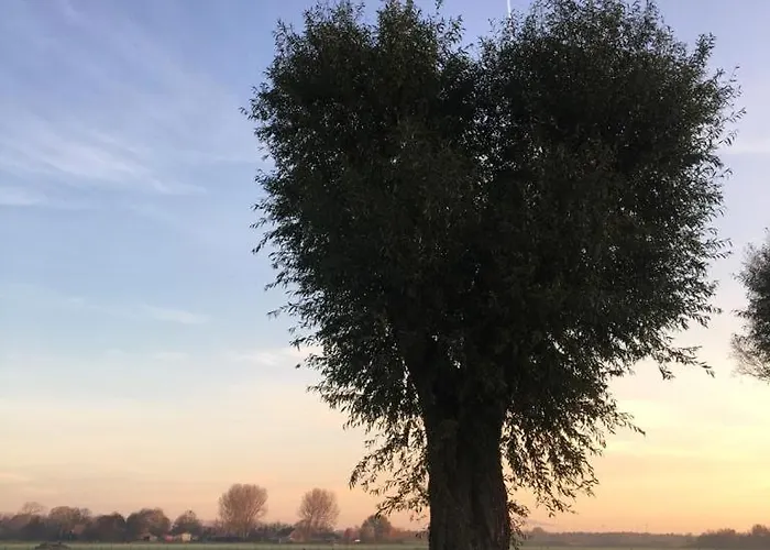 B&B Het Bewustzijn *