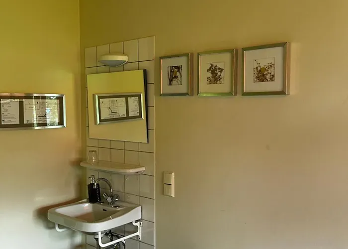 Het Bewustzijn * Limmen